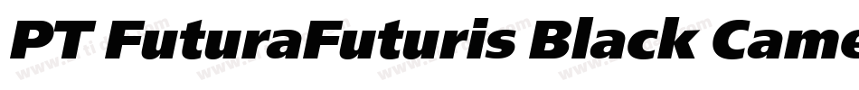 PT FuturaFuturis Black Cameo Cyrillic字体转换